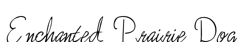 Enchanted Prairie Dog font preview