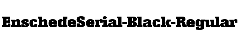 EnschedeSerial-Black-Regular font preview