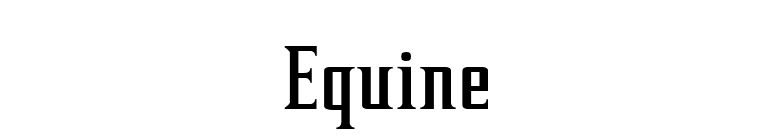 Equine font preview
