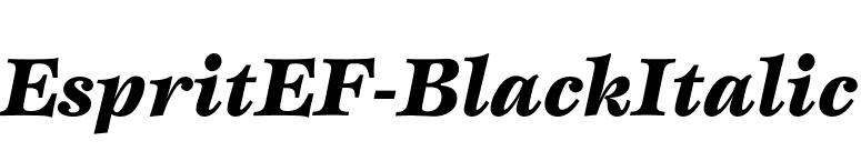 EspritEF-BlackItalic font preview