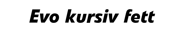 Evo kursiv fett  font preview