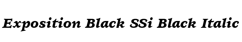 Exposition Black SSi Black Italic font preview