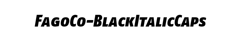 FagoCo-BlackItalicCaps font preview