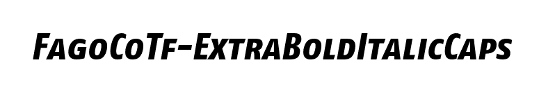 FagoCoTf-ExtraBoldItalicCaps font preview