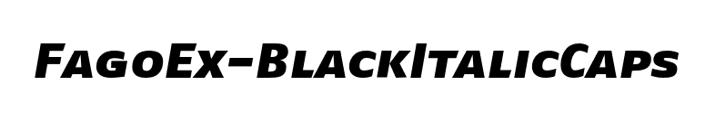 FagoEx-BlackItalicCaps font preview