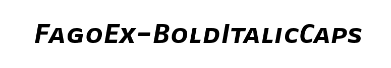 FagoEx-BoldItalicCaps font preview