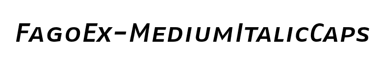 FagoEx-MediumItalicCaps font preview