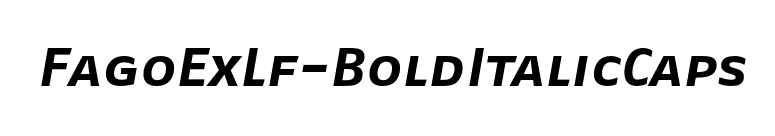 FagoExLf-BoldItalicCaps font preview