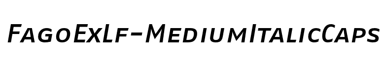 FagoExLf-MediumItalicCaps font preview