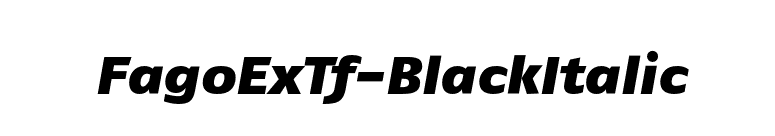 FagoExTf-BlackItalic font preview