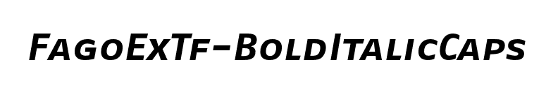FagoExTf-BoldItalicCaps font preview