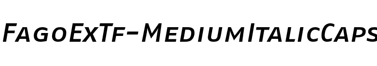 FagoExTf-MediumItalicCaps font preview