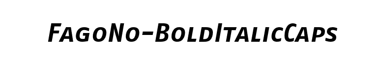 FagoNo-BoldItalicCaps font preview