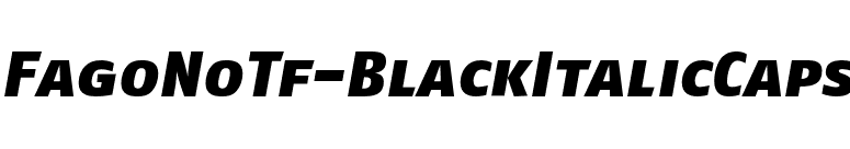 FagoNoTf-BlackItalicCaps font preview