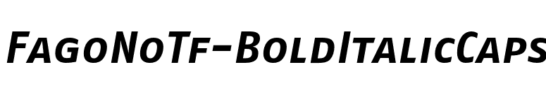 FagoNoTf-BoldItalicCaps font preview