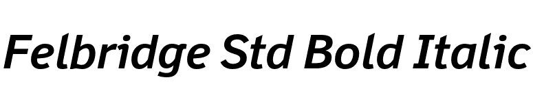 Felbridge Std Bold Italic font preview