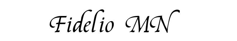 Fidelio MN  font preview