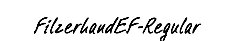 FilzerhandEF-Regular font preview