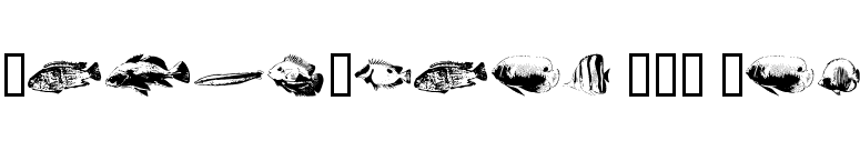 FishyPrint AOE One font preview