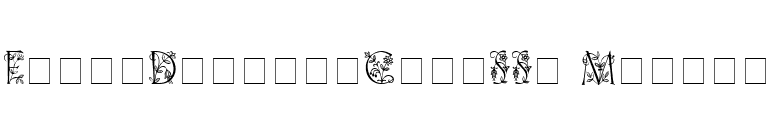 FleurDisplayCapsSSi Medium font preview
