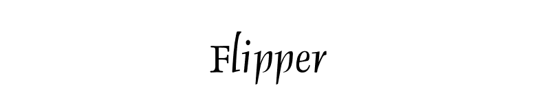 Flipper font preview
