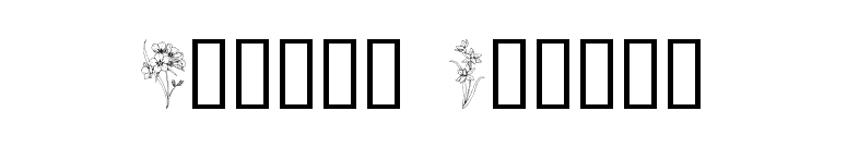 Floral Design font preview