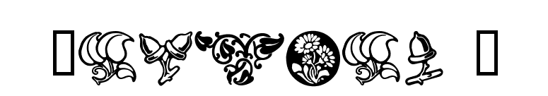 Florals 2 font preview