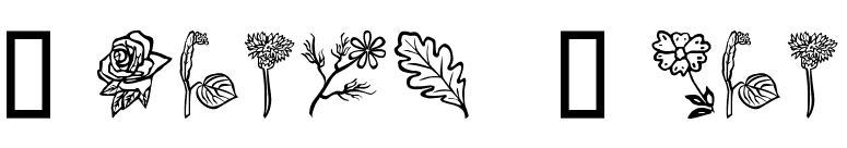 Flower Show font preview