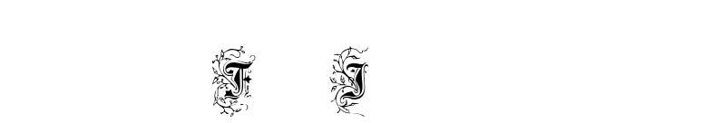 Foliar Initials font preview