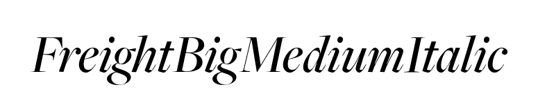 FreightBigMediumItalic font preview