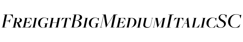 FreightBigMediumItalicSC font preview