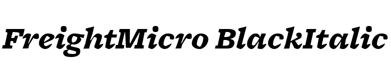 FreightMicro BlackItalic font preview