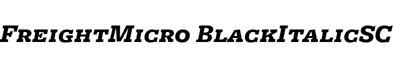 FreightMicro BlackItalicSC font preview