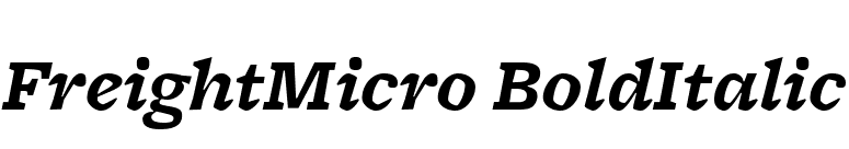 FreightMicro BoldItalic font preview