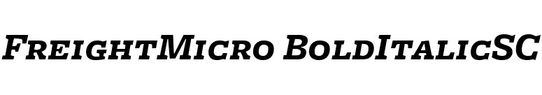 FreightMicro BoldItalicSC font preview