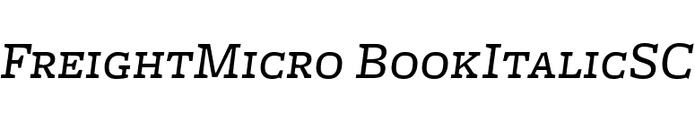 FreightMicro BookItalicSC font preview