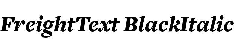 FreightText BlackItalic font preview