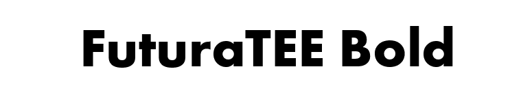 FuturaTEE Bold font preview