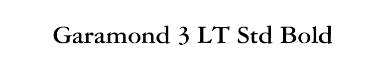 Garamond 3 LT Std Bold font preview