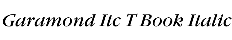 Garamond Itc T Book Italic font preview