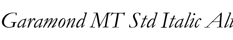 Garamond MT Std Italic Alt font preview