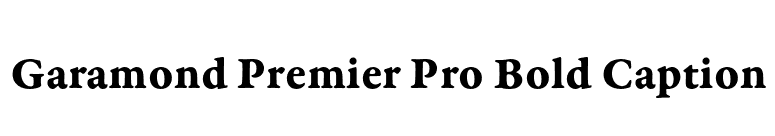 Garamond Premier Pro Bold Caption font preview