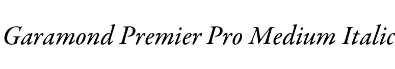 Garamond Premier Pro Medium Italic font preview