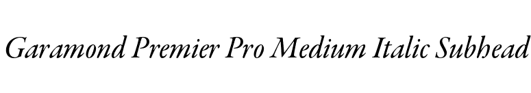 Garamond Premier Pro Medium Italic Subhead font preview