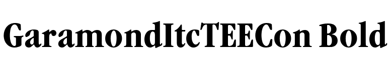 GaramondItcTEECon Bold font preview