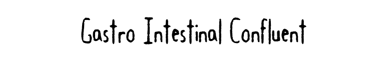 Gastro Intestinal Confluent font preview