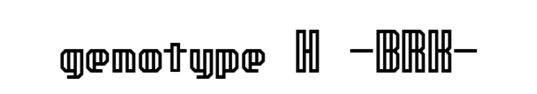 genotype H -BRK- font preview