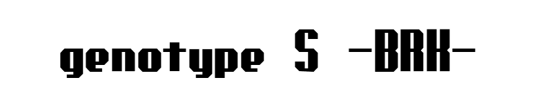genotype S -BRK- font preview