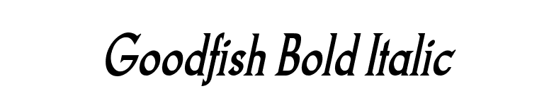 Goodfish Bold Italic font preview