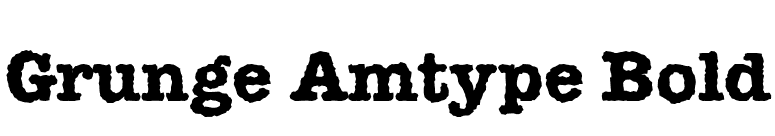 Grunge Amtype Bold font preview